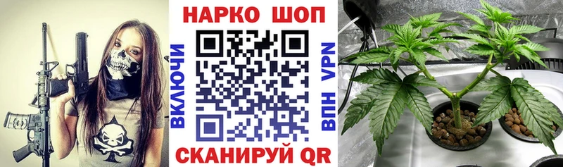 Наркотические вещества Сенгилей Галлюциногенные грибы  ГАШ  Каннабис 