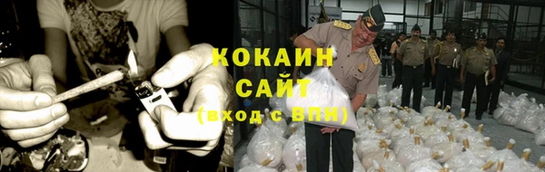 спайс Арсеньев