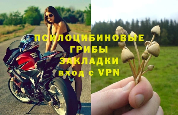 спайс Арсеньев