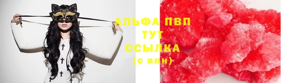 кокс Аркадак
