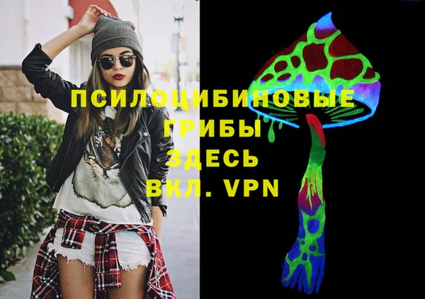 спайс Арсеньев