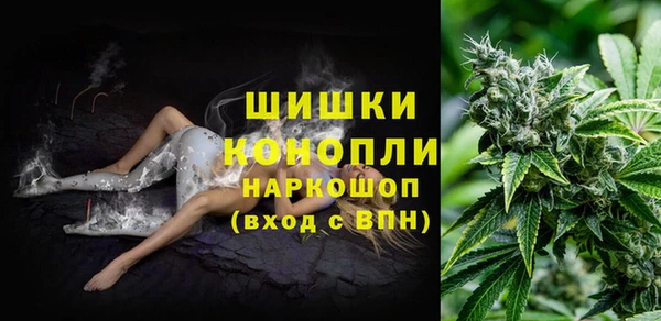 спайс Арсеньев