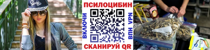 MEGA зеркало  Сенгилей  Псилоцибиновые грибы MAGIC MUSHROOMS 